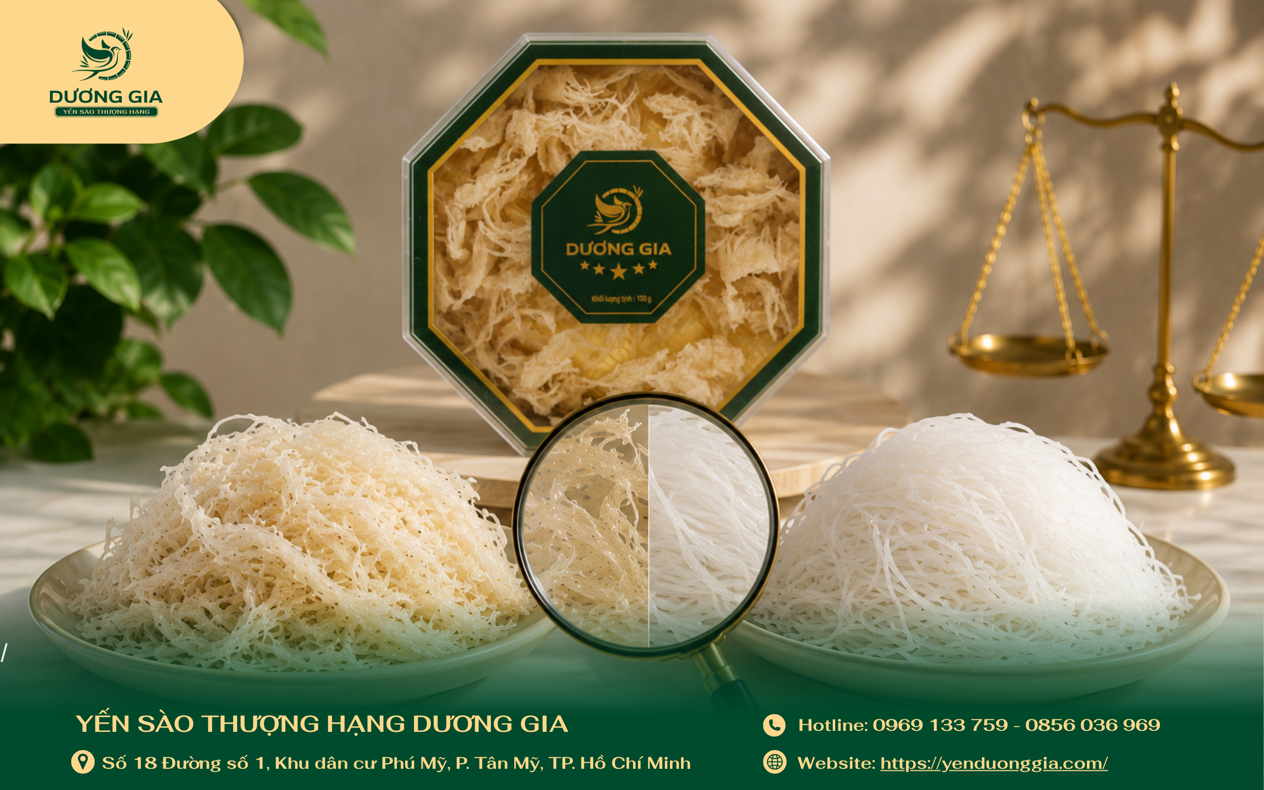 vi-sao-can-phan-biet-to-yen-that-gia